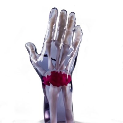 Medical and pharmaceutical - Essex