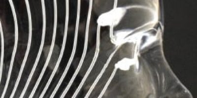 Medical & Pharmaceutical