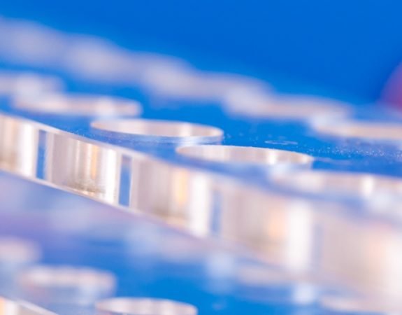 Scientific, Education & Life Sciences