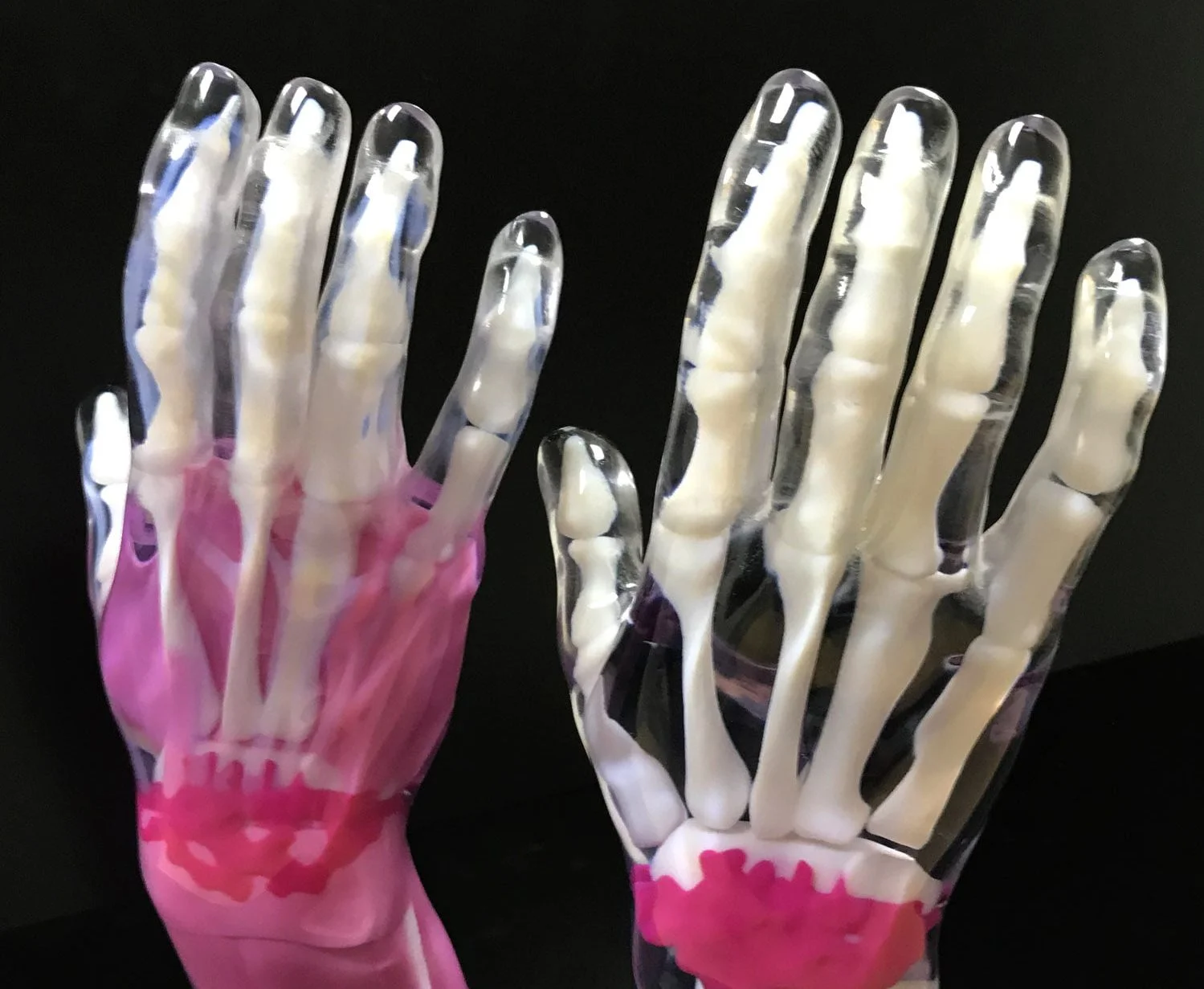 multi material Polyjet anatomical model
