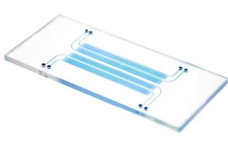polycarbonate-chip
